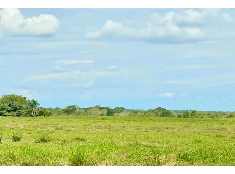 Finca de 134 Has en Venta, Barinas